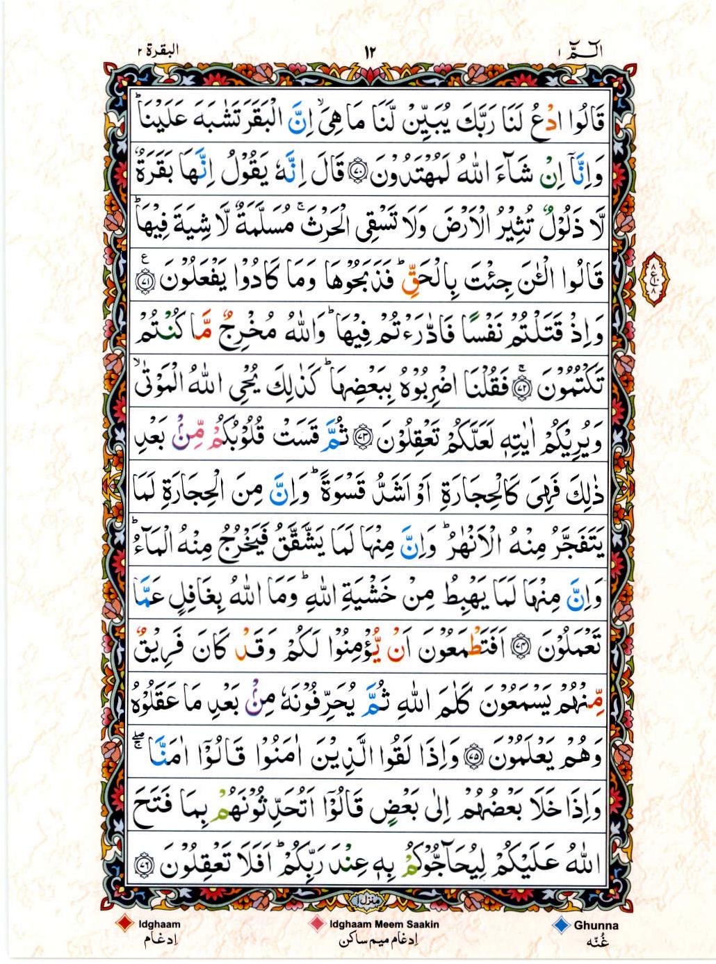 Read 15 Lines Color Coded Quran, Part / Chapter / Siparah 1 Page 12
