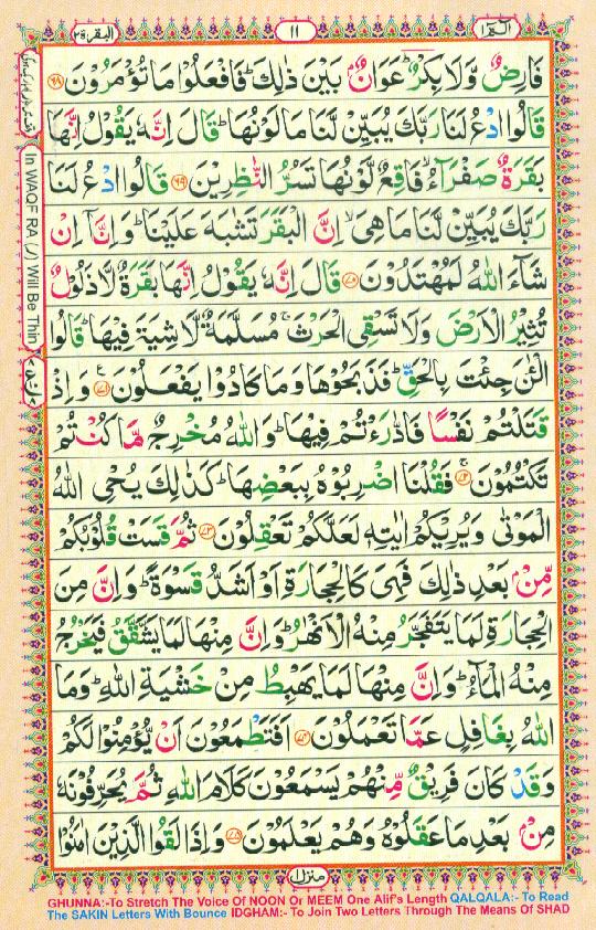 Read Al-Quran, Part / Chapter / Siparah 1 Page 11