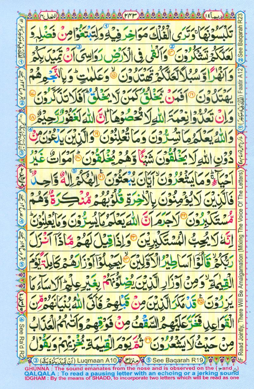 Read Al-Quran, Part / Chapter / Siparah 14 Page 243