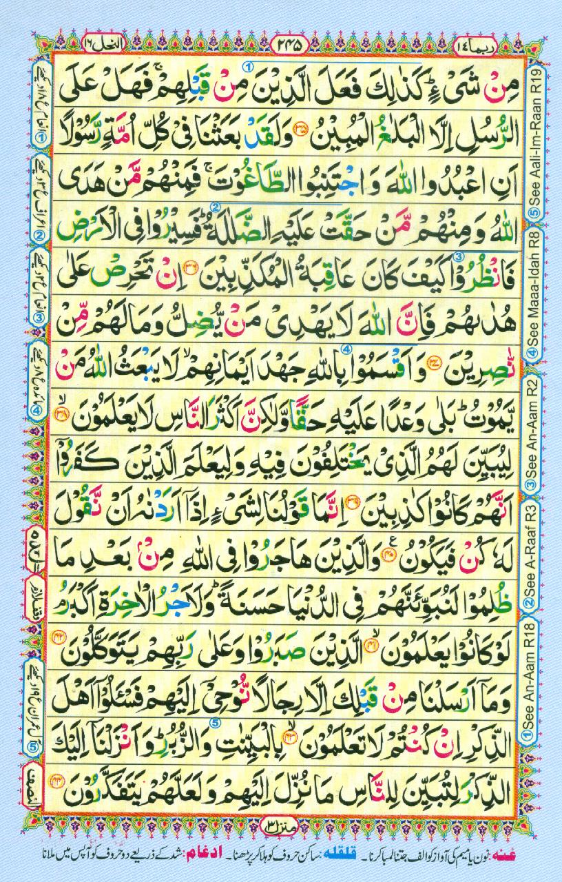 Read Al-Quran, Part / Chapter / Siparah 14 Page 245