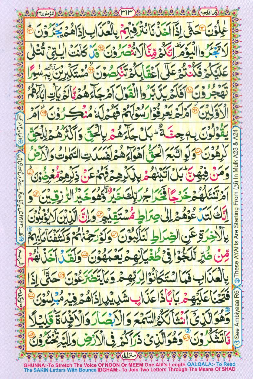 Read Al-Quran, Part / Chapter / Siparah 18 Page 313