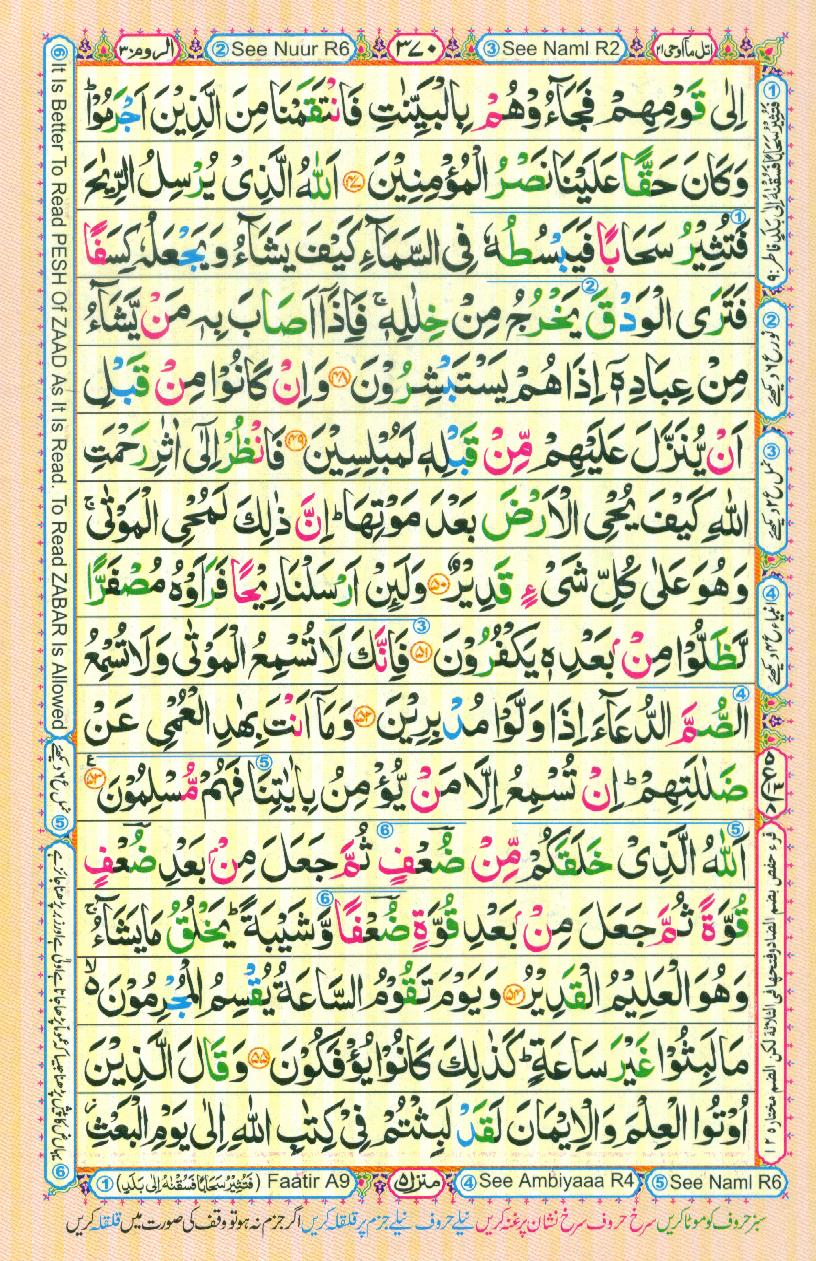 Read Al-Quran, Part / Chapter / Siparah 21 Page 370