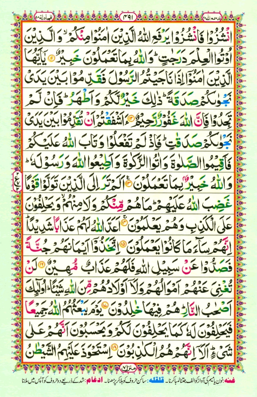 Read Al-Quran, Part / Chapter / Siparah 28 Page 491