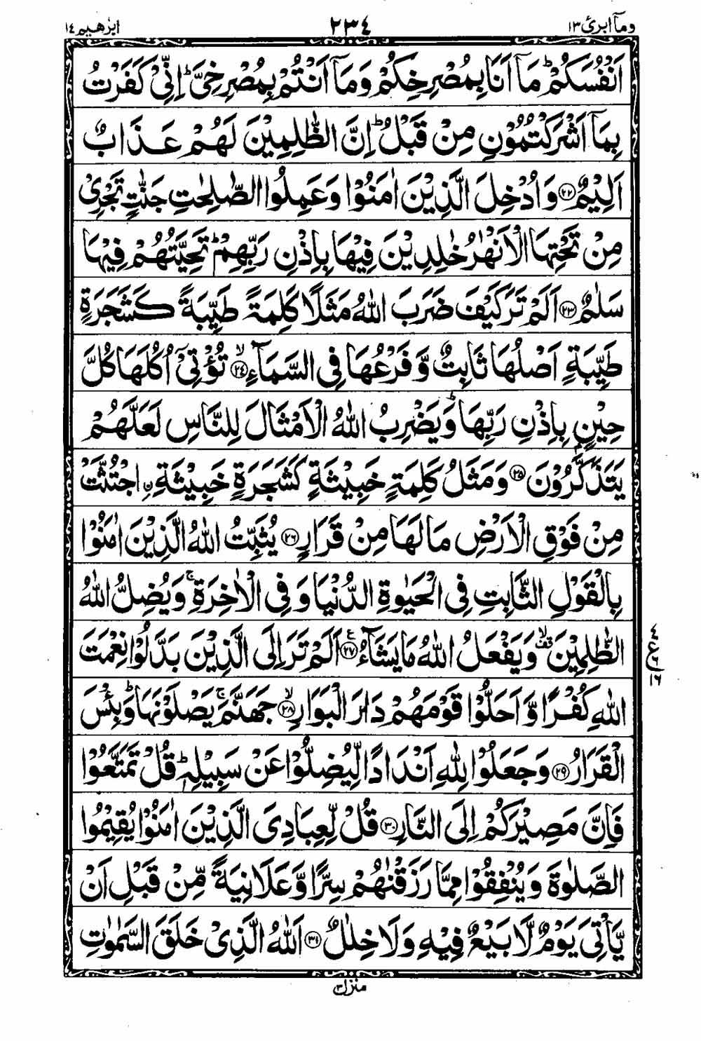 Read 16 Lines Taj Company Quran, Part / Chapter / Siparah 13 Page 235