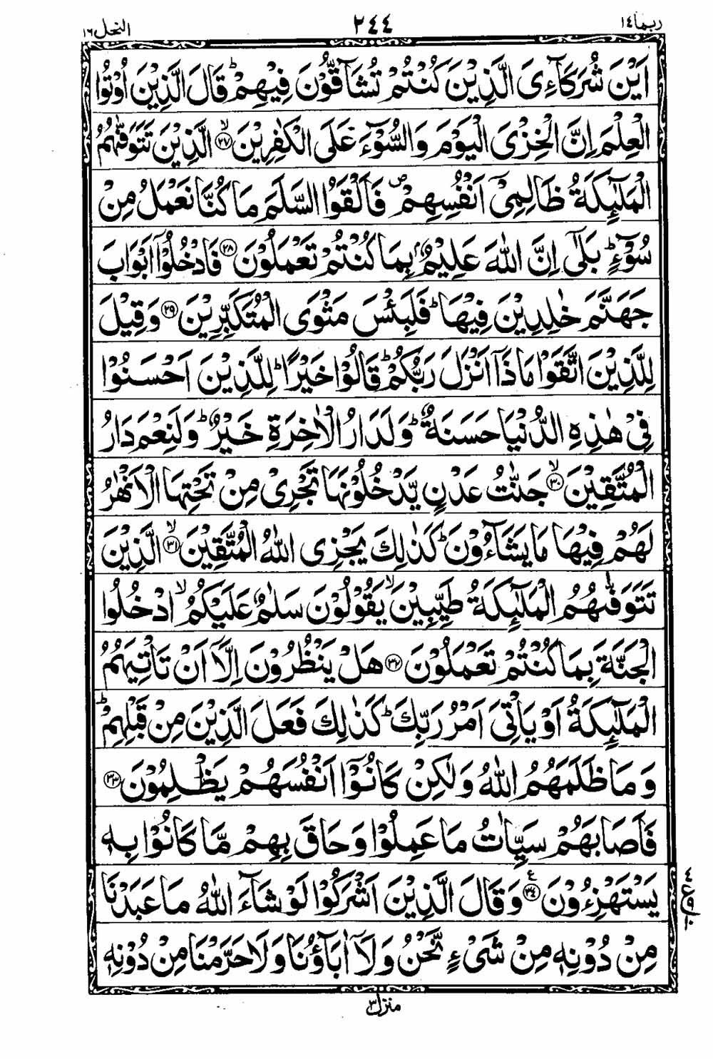 Read 16 Lines Taj Company Quran, Part / Chapter / Siparah 14 Page 245