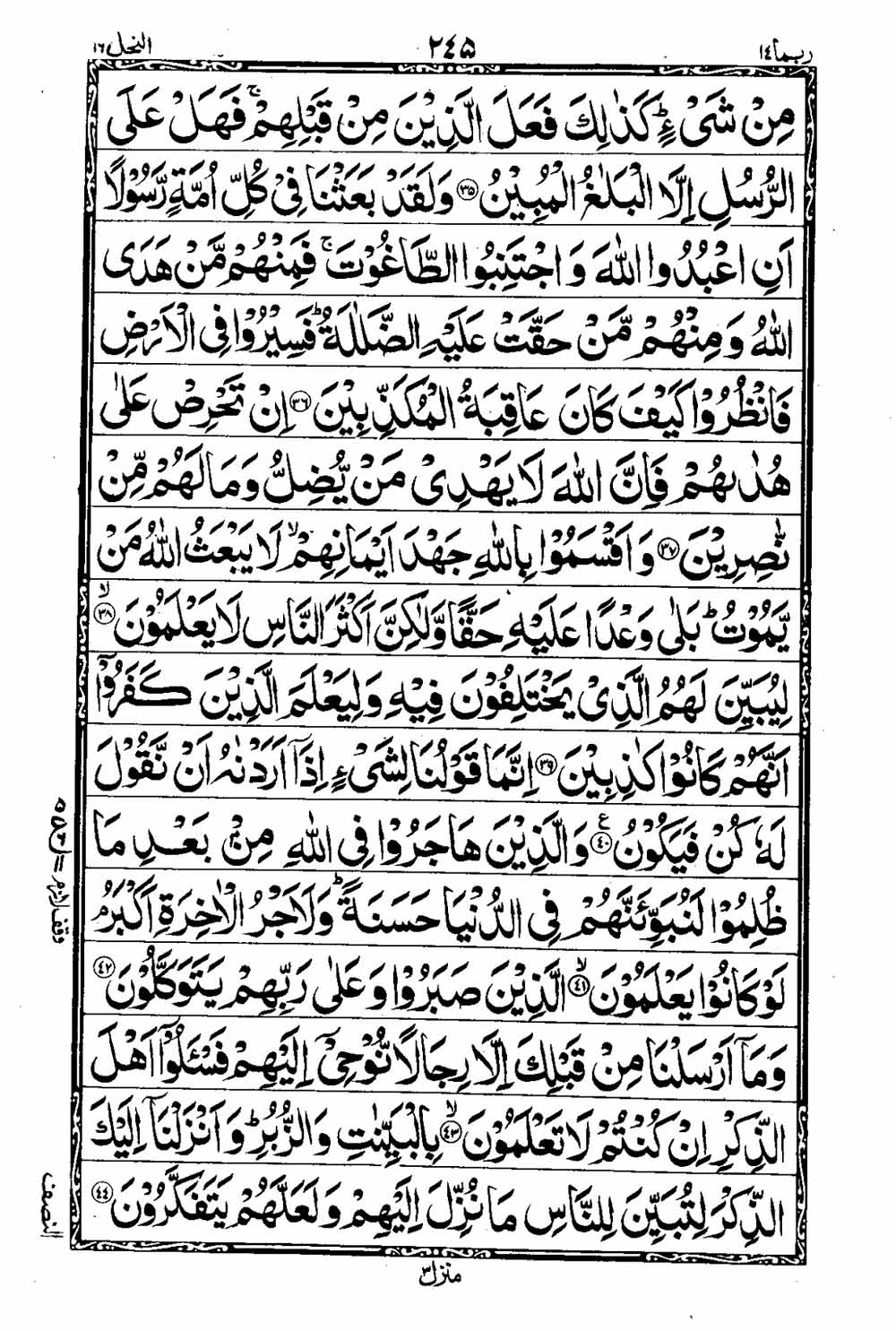 Read 16 Lines Taj Company Quran, Part / Chapter / Siparah 14 Page 246