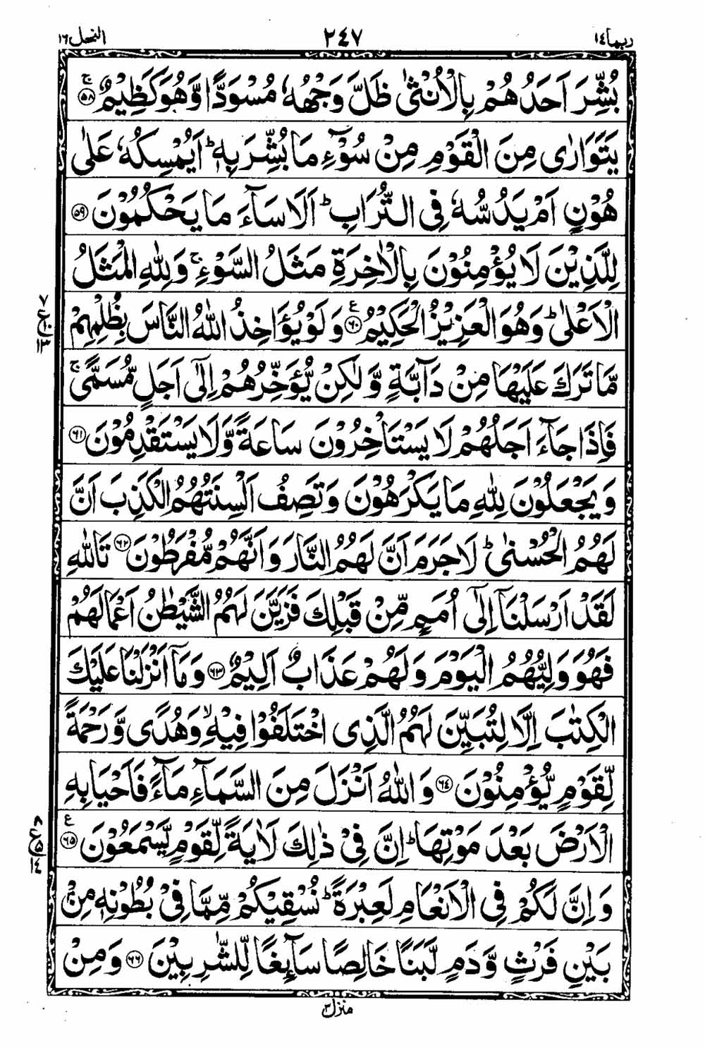 Read 16 Lines Taj Company Quran, Part / Chapter / Siparah 14 Page 248