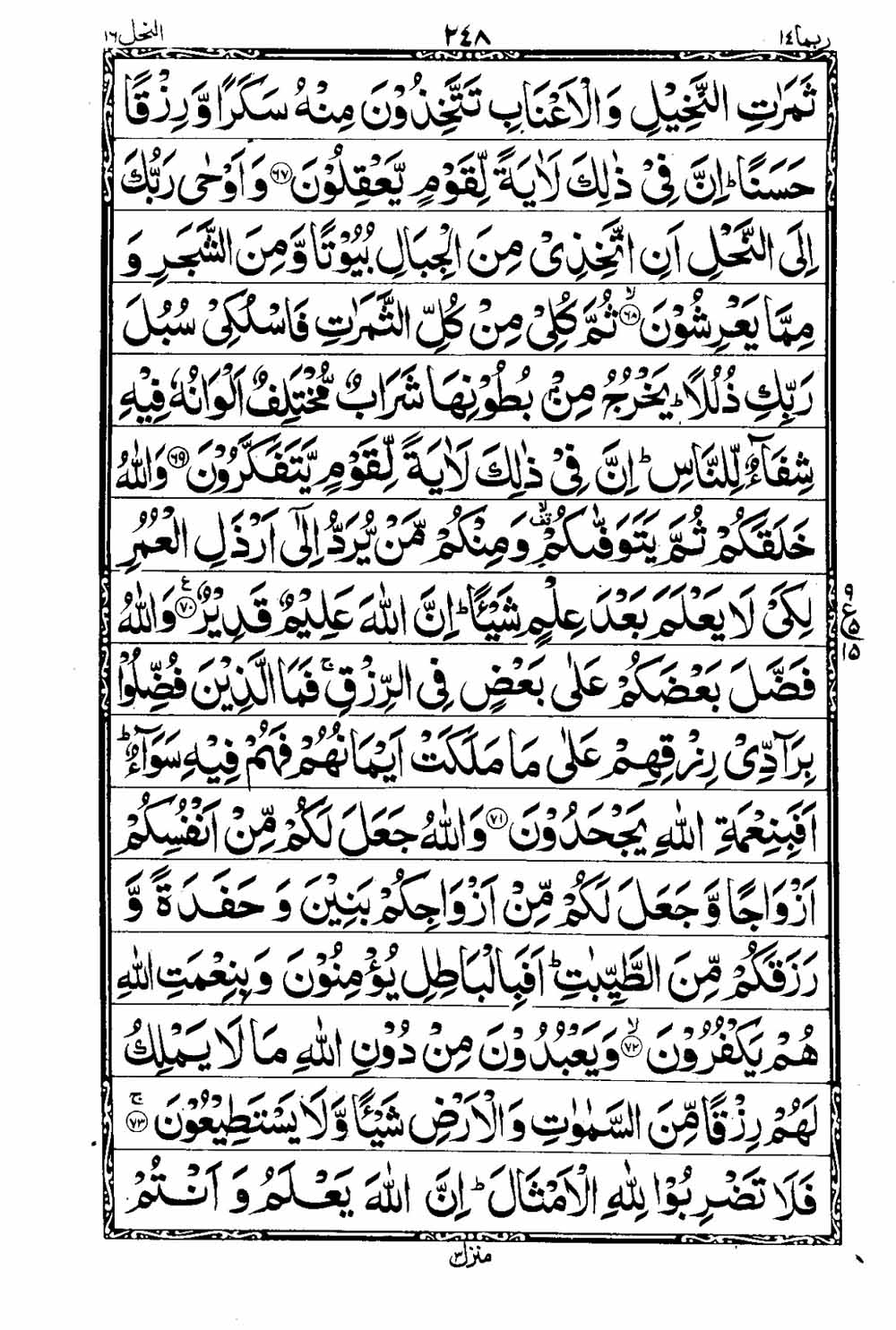 Read 16 Lines Taj Company Quran, Part / Chapter / Siparah 14 Page 249