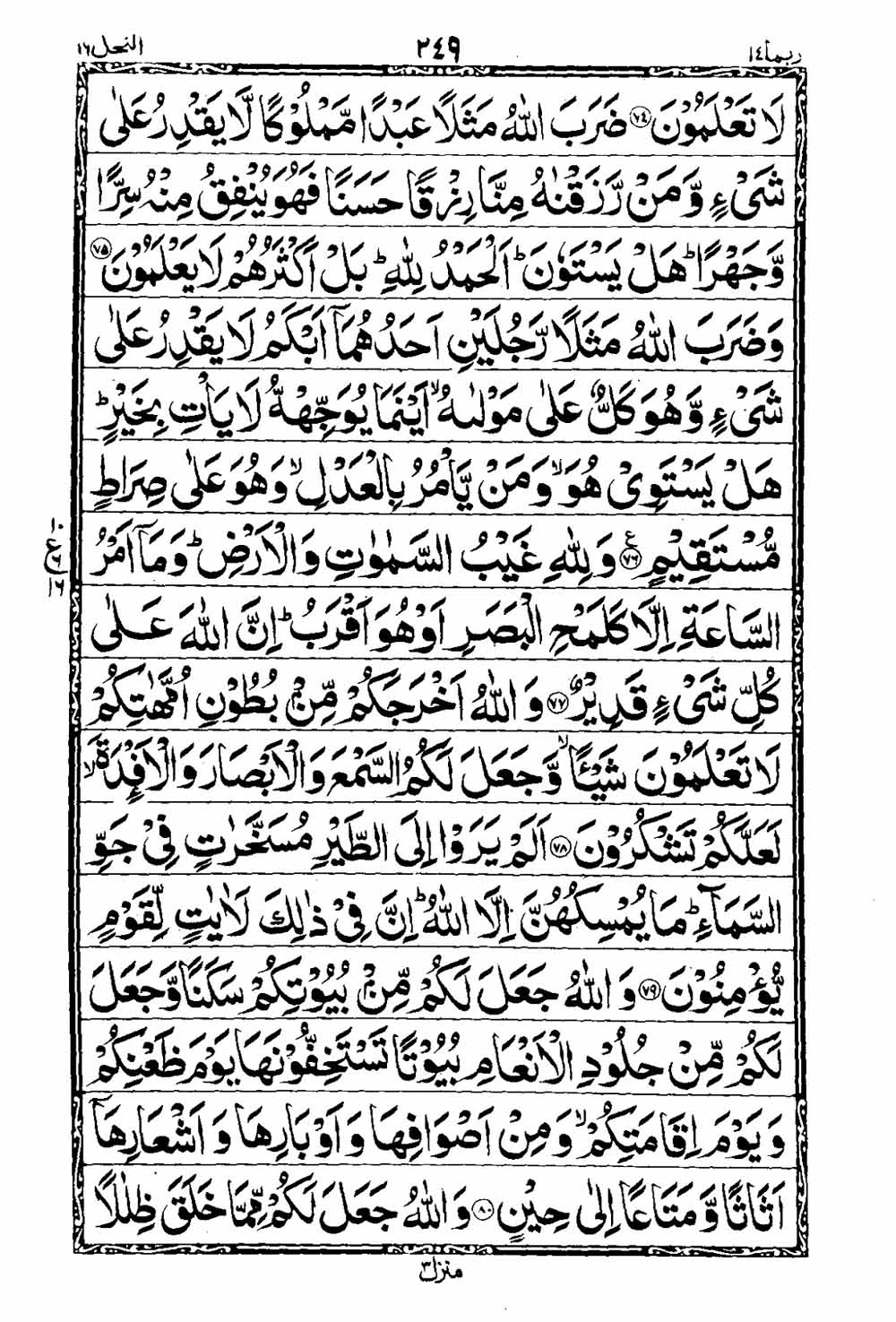 Read 16 Lines Taj Company Quran, Part / Chapter / Siparah 14 Page 250