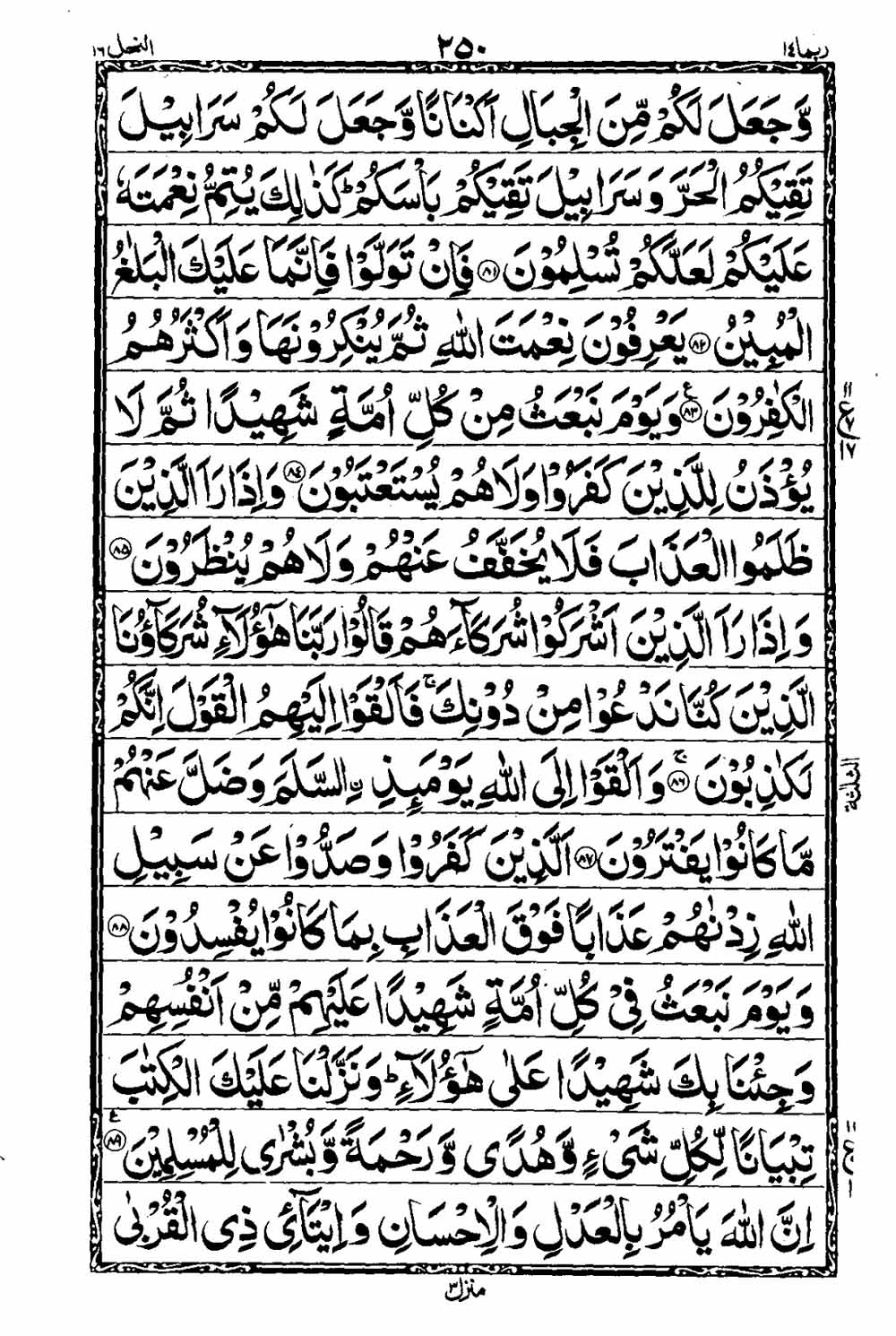 Read 16 Lines Taj Company Quran, Part / Chapter / Siparah 14 Page 251