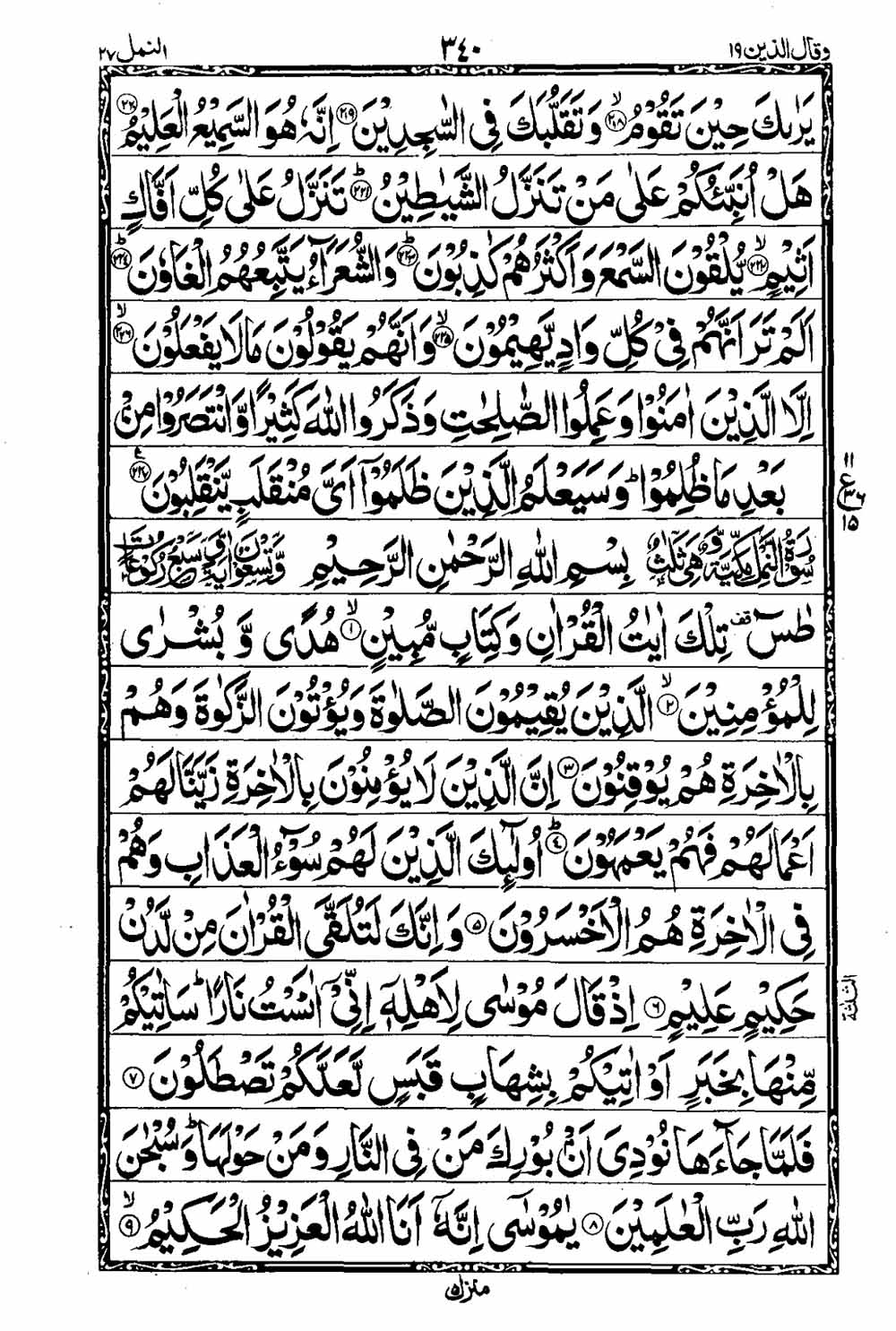 Read 16 Lines Taj Company Quran, Part / Chapter / Siparah 19 Page 341