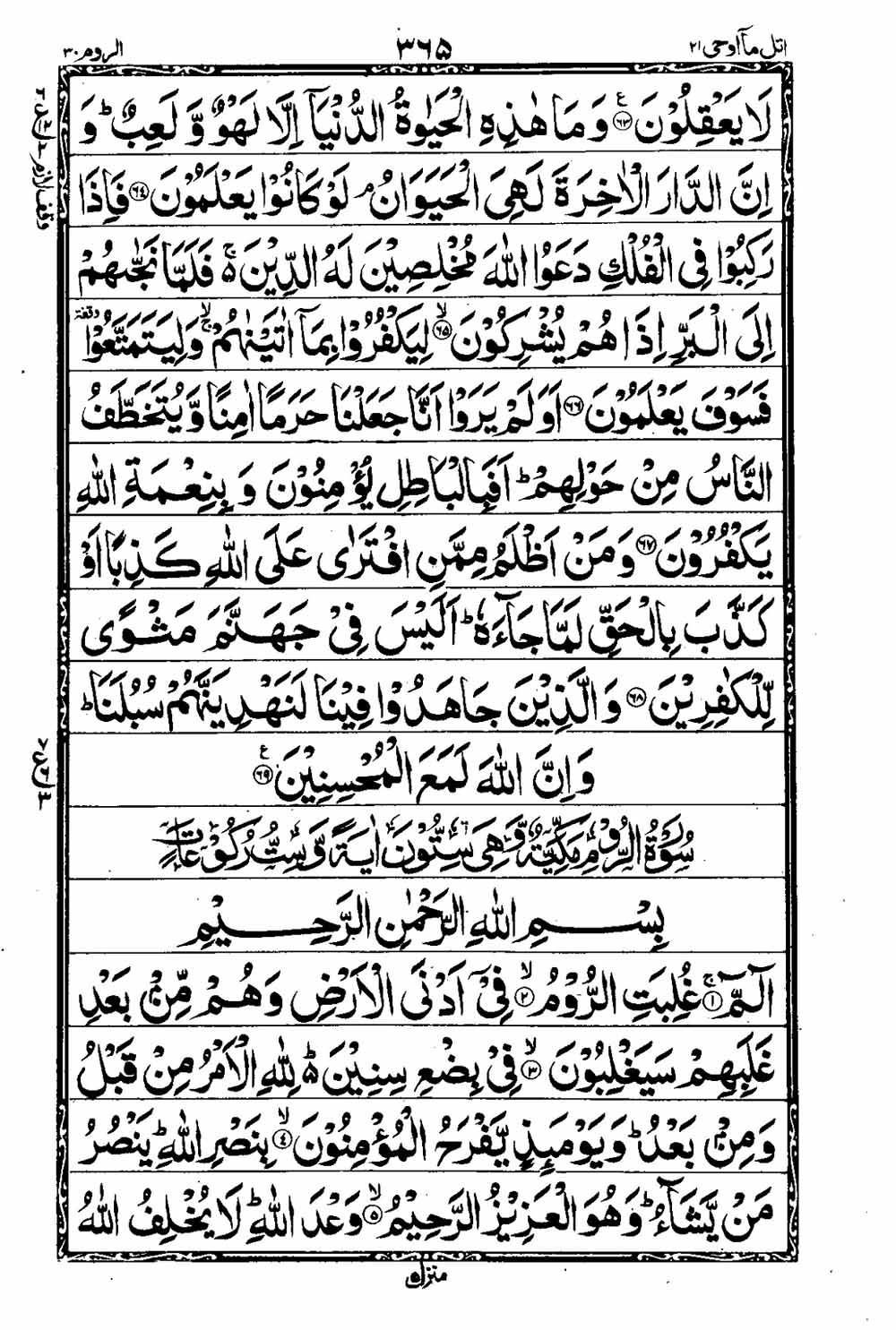 Read 16 Lines Taj Company Quran, Part / Chapter / Siparah 21 Page 366