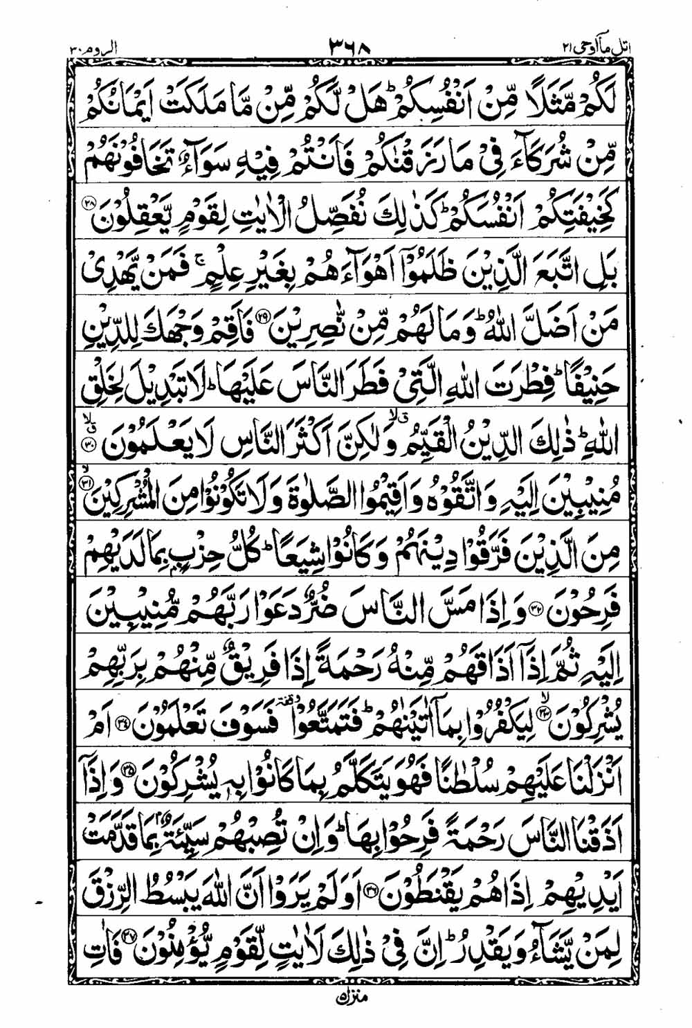 Read 16 Lines Taj Company Quran, Part / Chapter / Siparah 21 Page 369