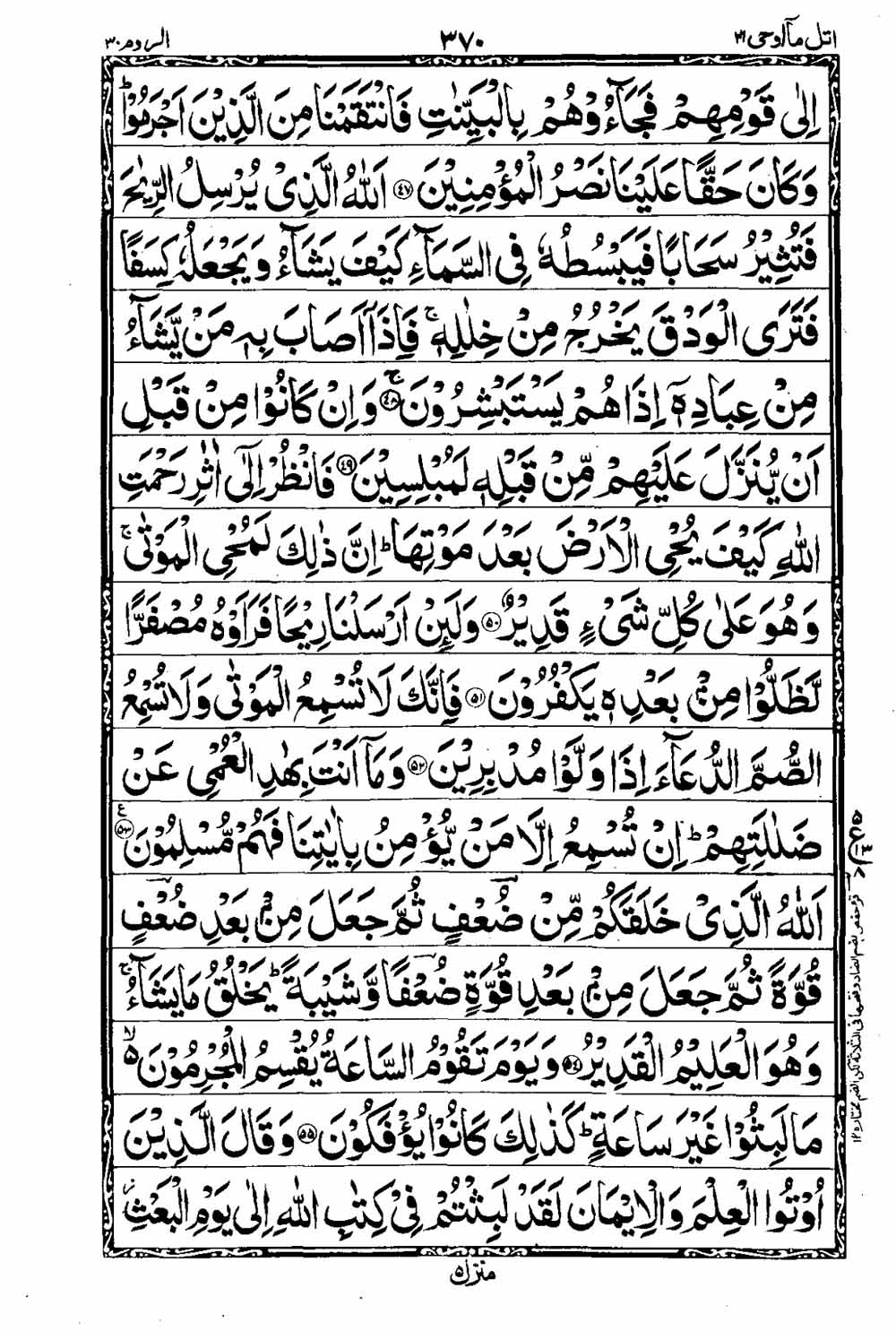 Read 16 Lines Taj Company Quran, Part / Chapter / Siparah 21 Page 371