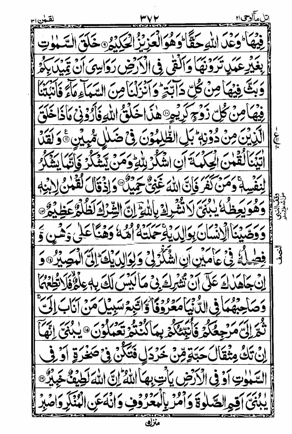 Read 16 Lines Taj Company Quran, Part / Chapter / Siparah 21 Page 373