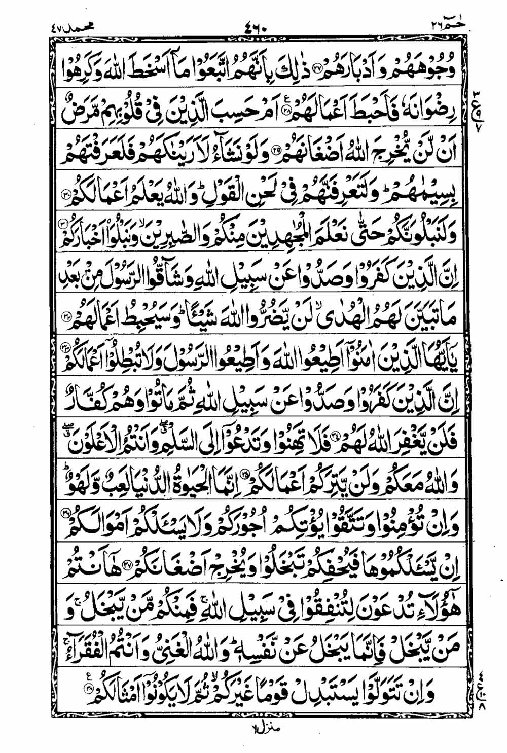 Read 16 Lines Taj Company Quran, Part / Chapter / Siparah 26 Page 461