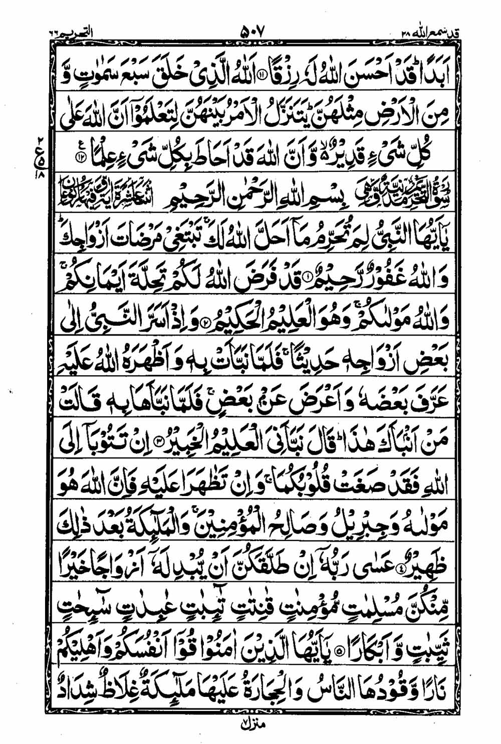 Read 16 Lines Taj Company Quran, Part / Chapter / Siparah 28 Page 508