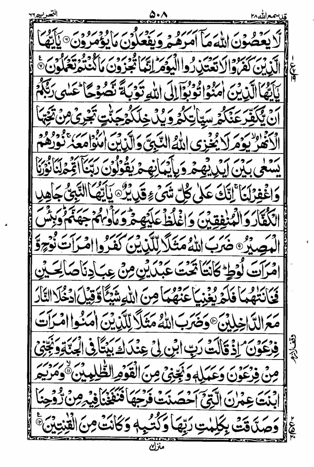 Read 16 Lines Taj Company Quran, Part / Chapter / Siparah 28 Page 509