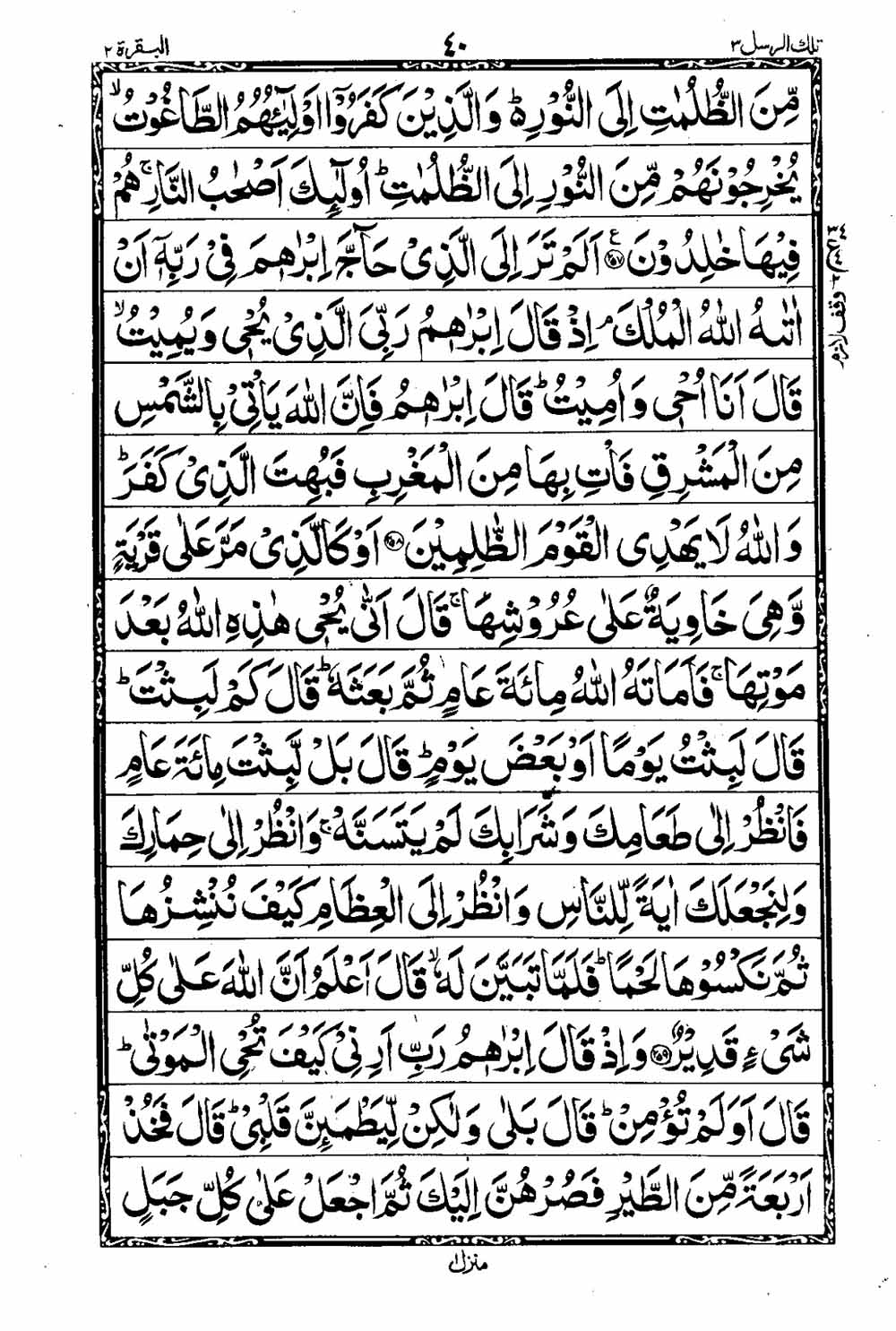 Read 16 Lines Taj Company Quran, Part / Chapter / Siparah 3 Page 41