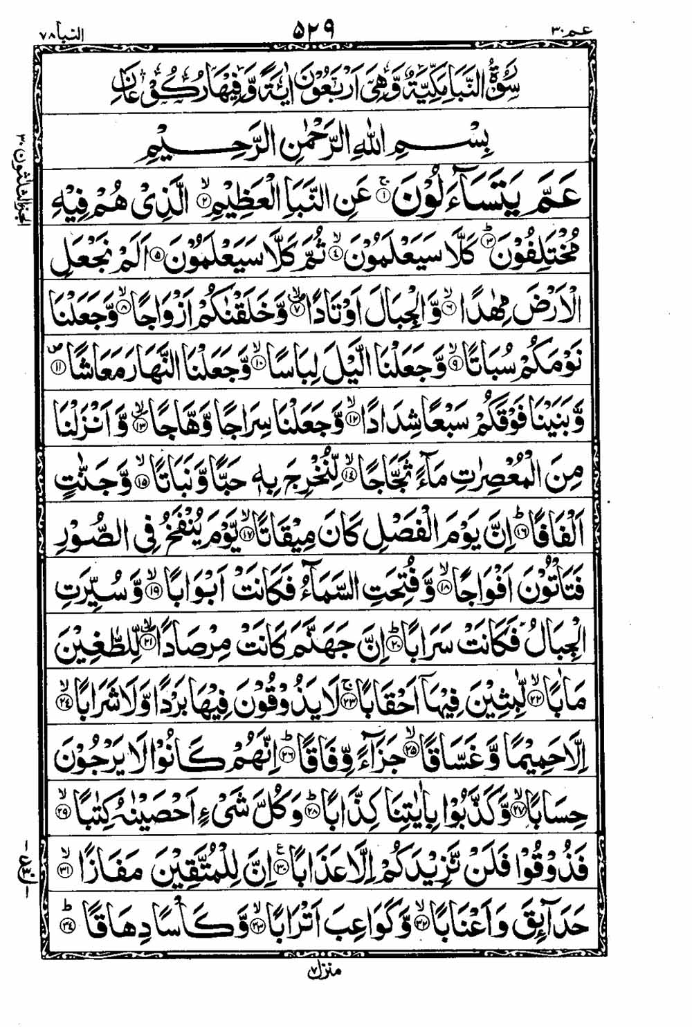 Read 16 Lines Taj Company Quran, Part / Chapter / Siparah 30 Page 530