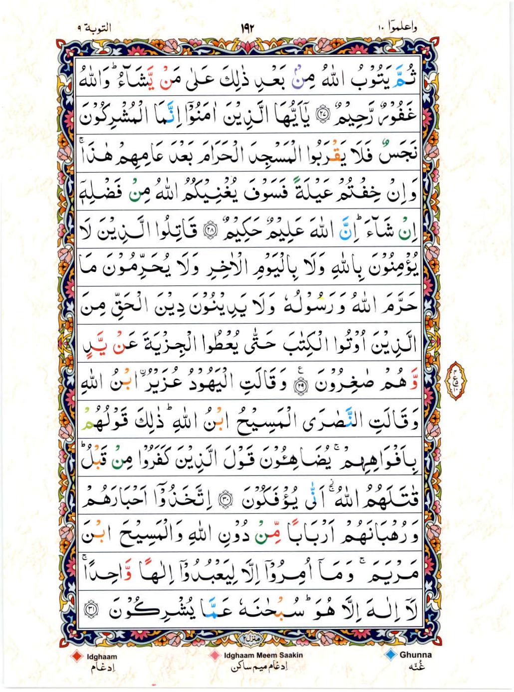 Read 15 Lines Color Coded Quran, Part / Chapter / Siparah 10 Page 192