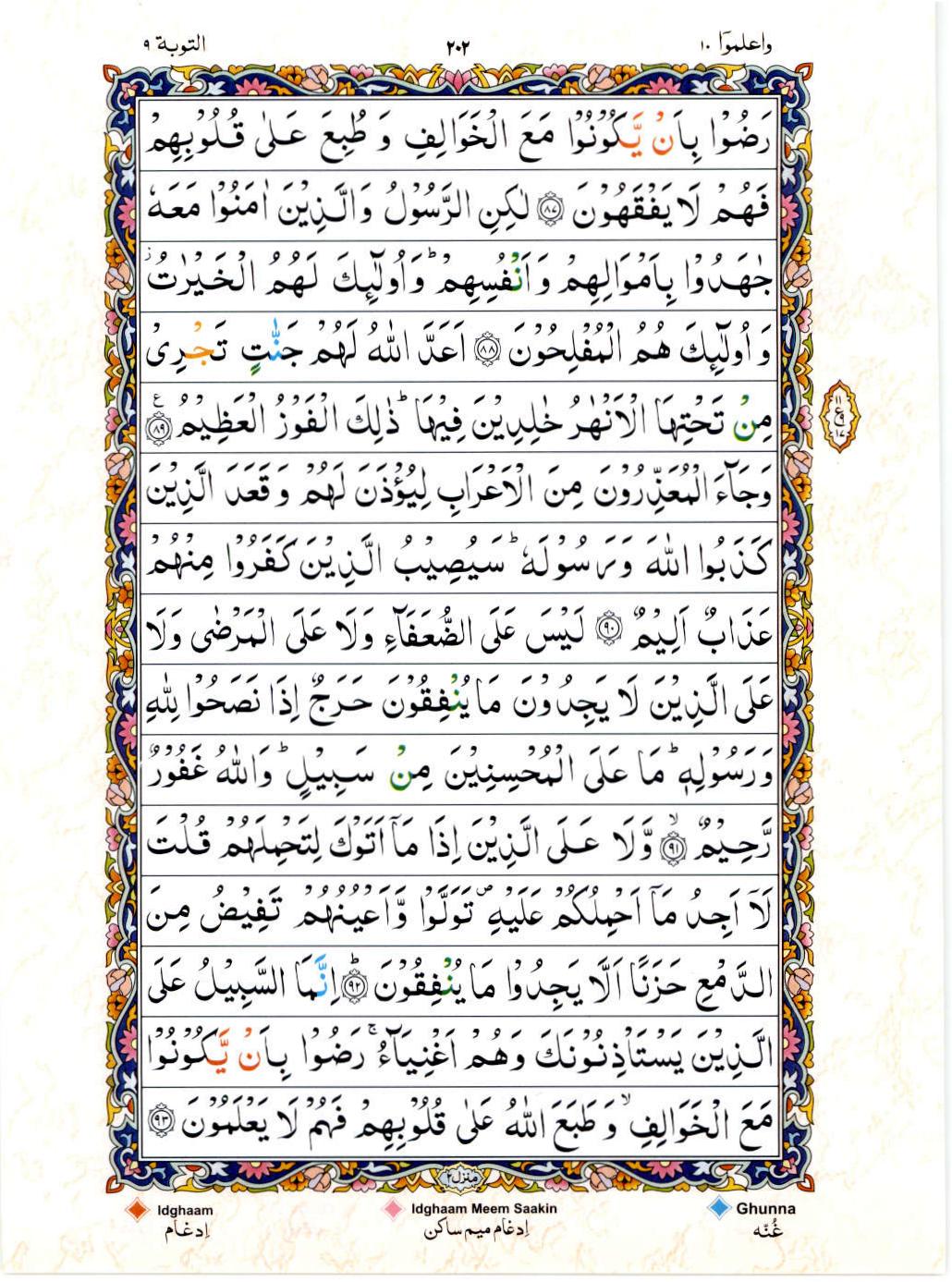 Read 15 Lines Color Coded Quran, Part / Chapter / Siparah 10 Page 202