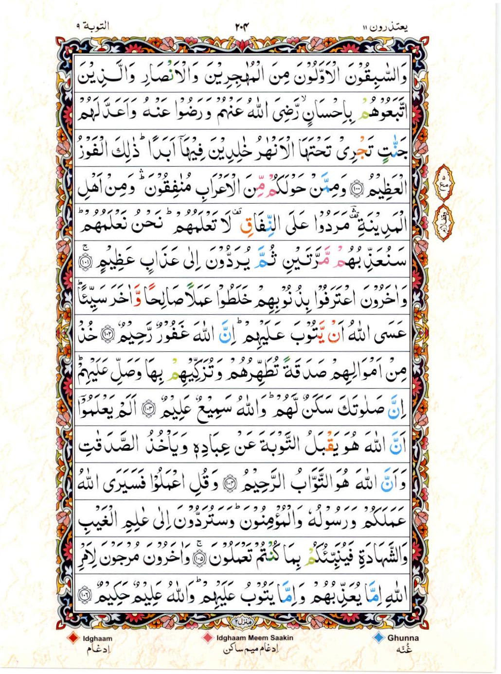 Read 15 Lines Color Coded Quran, Part / Chapter / Siparah 11 Page 204