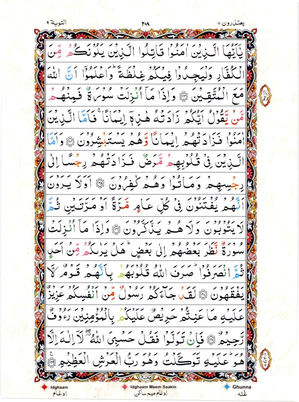 Read 15 Lines Color Coded Quran, Part / Chapter / Siparah 11 Page 208