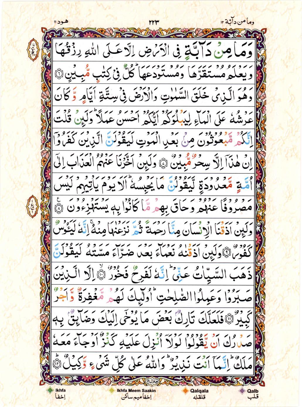 Read 15 Lines Color Coded Quran, Part / Chapter / Siparah 12 Page 223