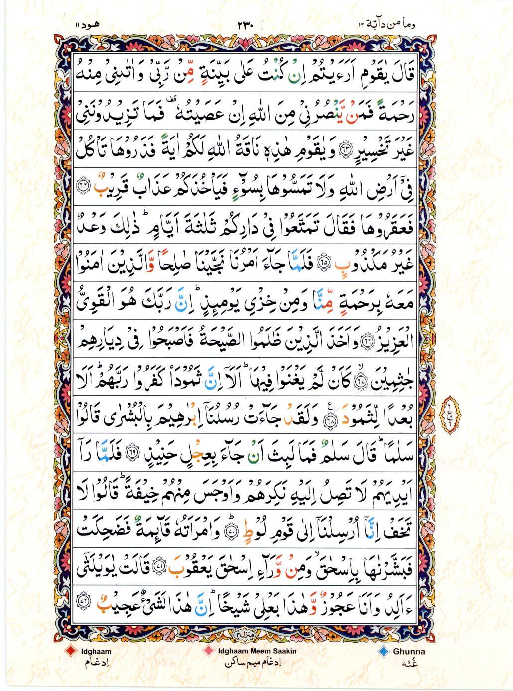 Read 15 Lines Color Coded Quran, Part / Chapter / Siparah 12 Page 230