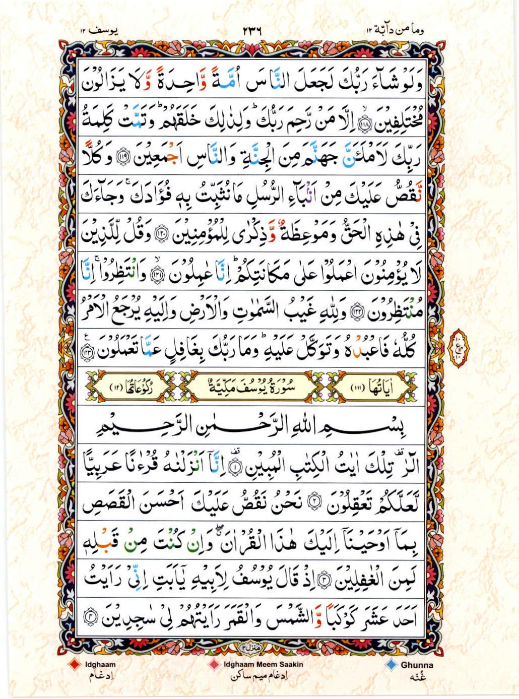 Read 15 Lines Color Coded Quran, Part / Chapter / Siparah 12 Page 236