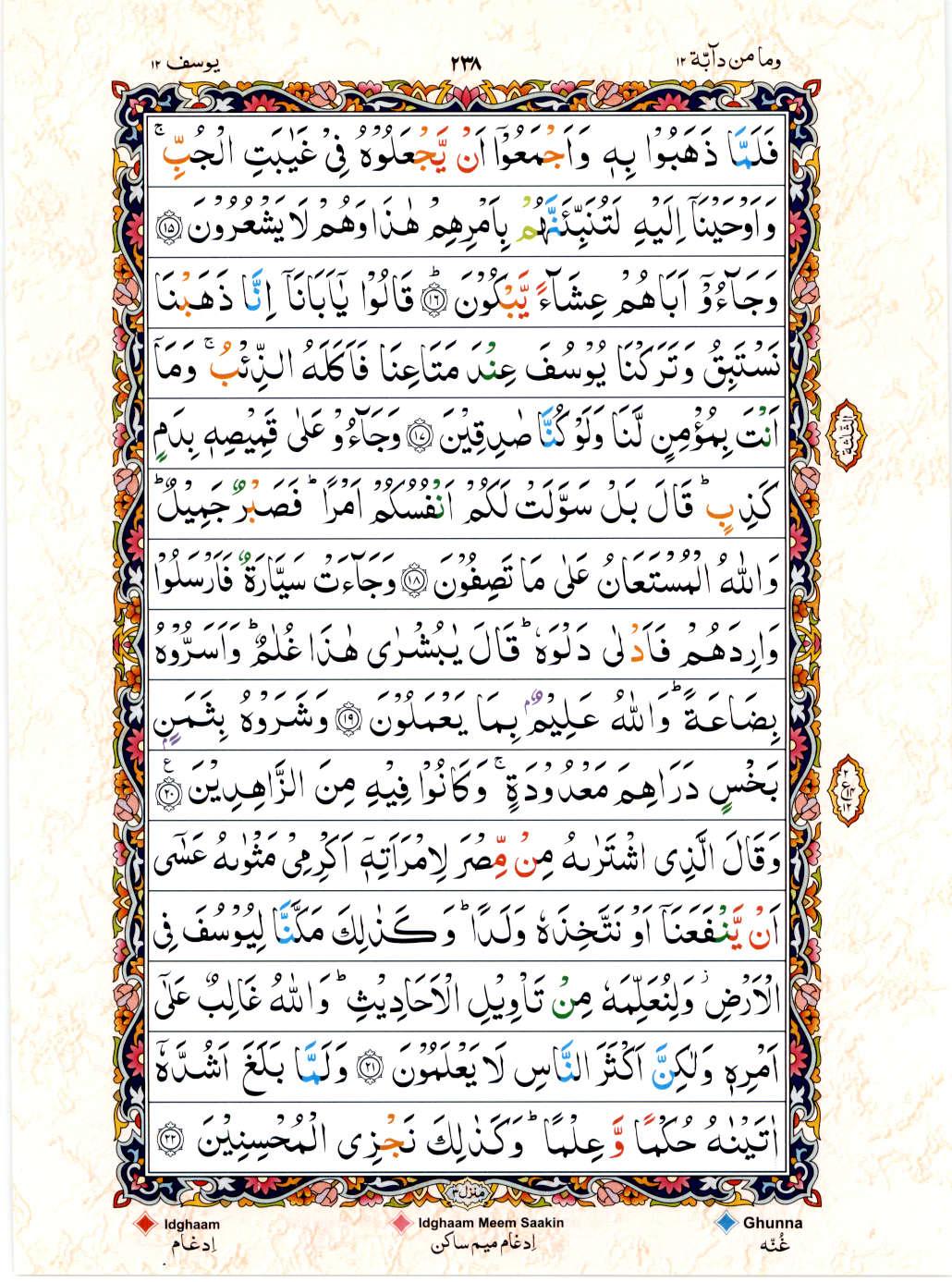 Read 15 Lines Color Coded Quran, Part / Chapter / Siparah 12 Page 238