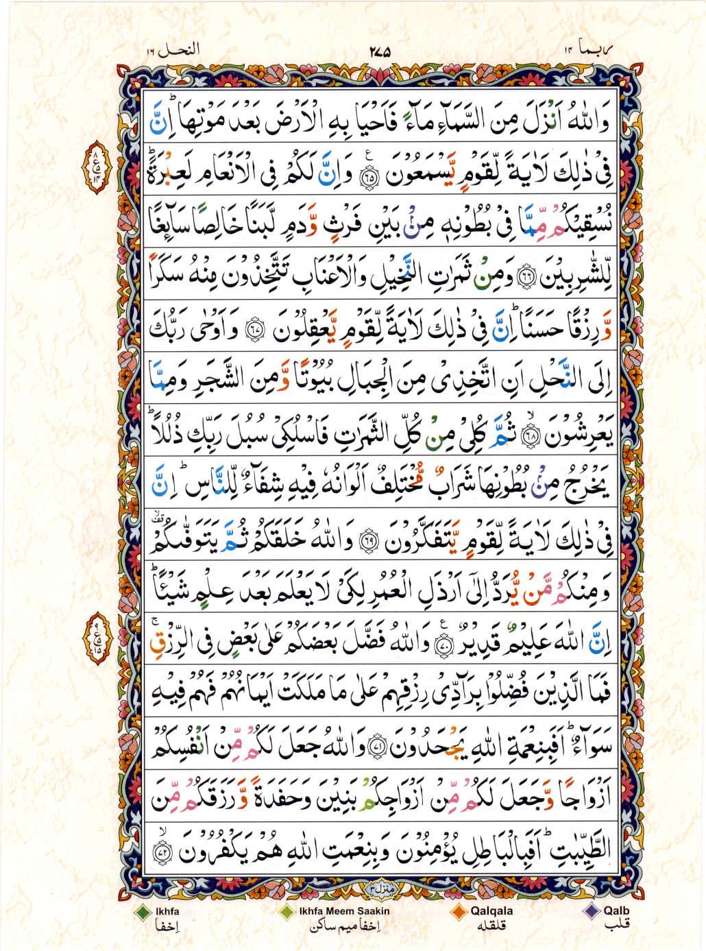 Read 15 Lines Color Coded Quran, Part / Chapter / Siparah 14 Page 275