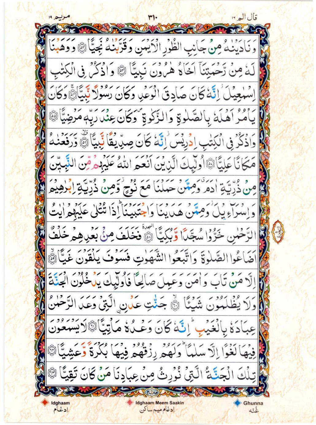 Read 15 Lines Color Coded Quran, Part / Chapter / Siparah 16 Page 310