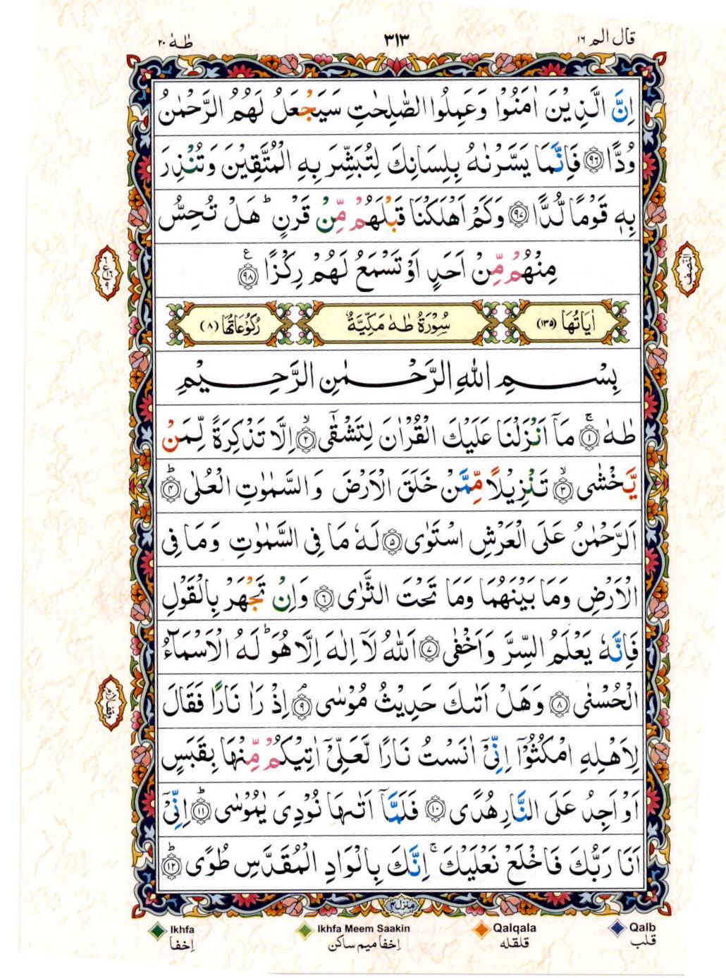 Read 15 Lines Color Coded Quran, Part / Chapter / Siparah 16 Page 313