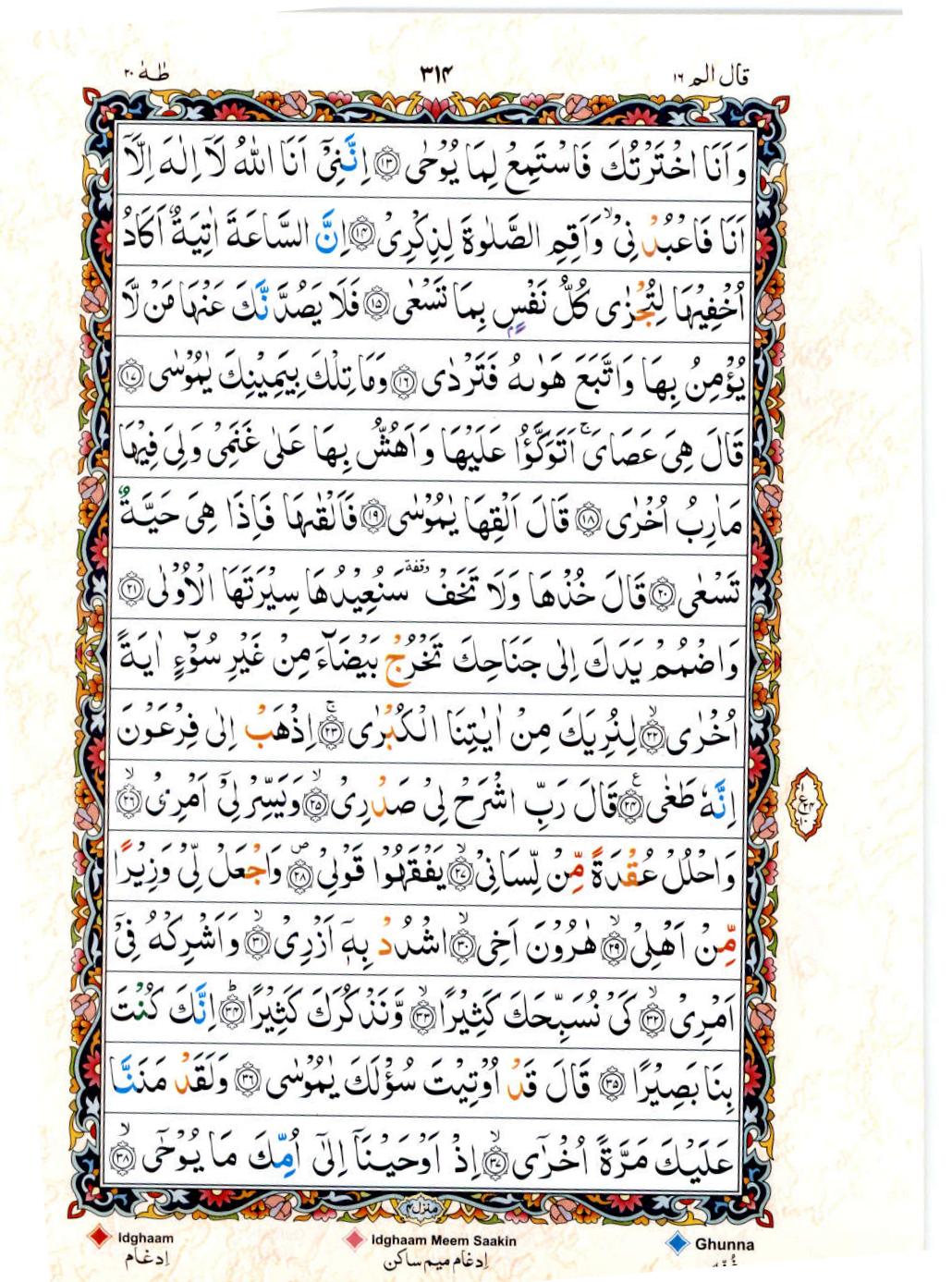 Read 15 Lines Color Coded Quran, Part / Chapter / Siparah 16 Page 314