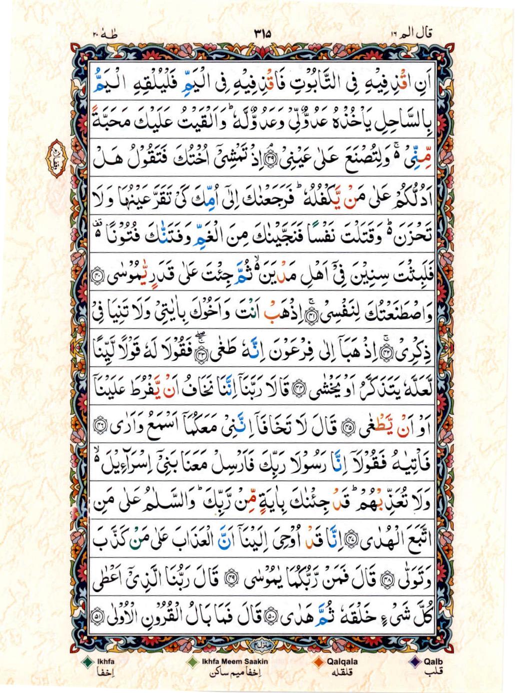 Read 15 Lines Color Coded Quran, Part / Chapter / Siparah 16 Page 315