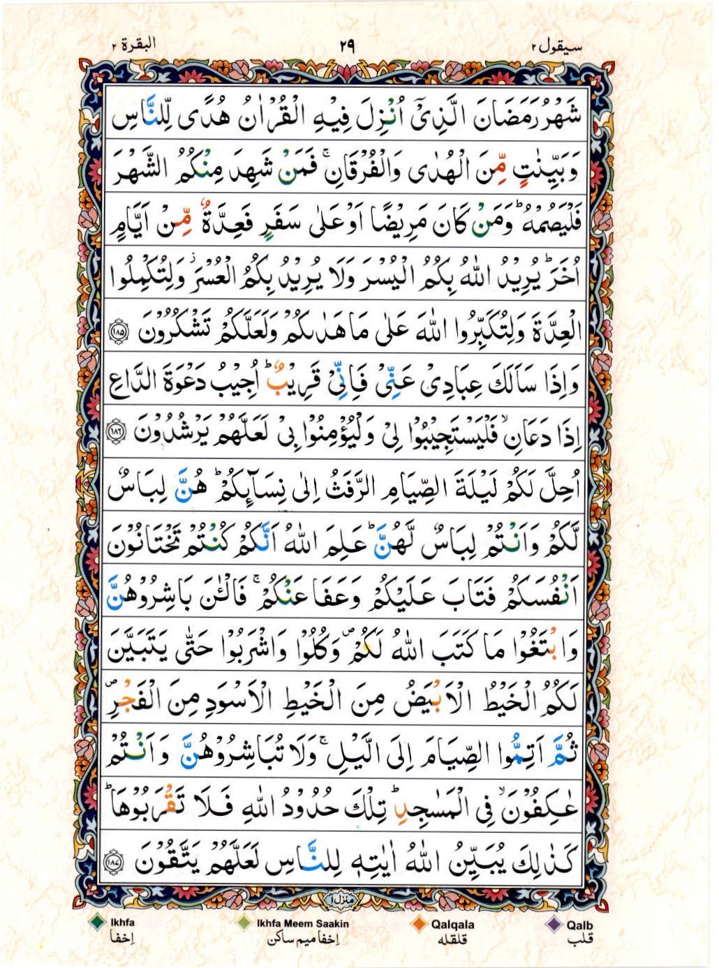 Read 15 Lines Color Coded Quran, Part / Chapter / Siparah 2 Page 29