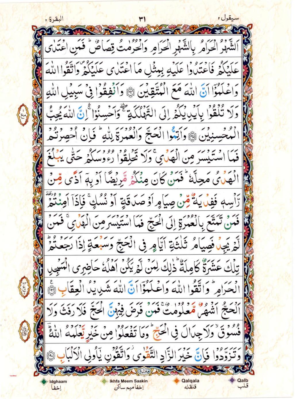 Read 15 Lines Color Coded Quran, Part / Chapter / Siparah 2 Page 31