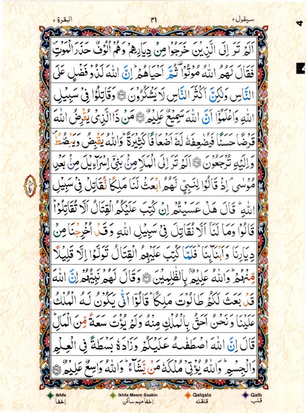 Read 15 Lines Color Coded Quran, Part / Chapter / Siparah 2 Page 41