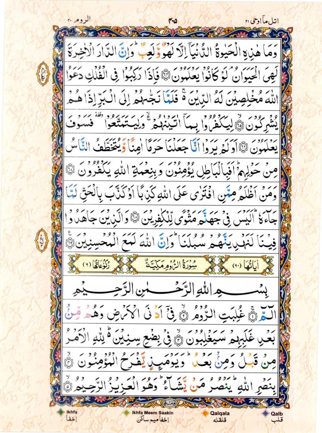 Read 15 Lines Color Coded Quran, Part / Chapter / Siparah 21 Page 405