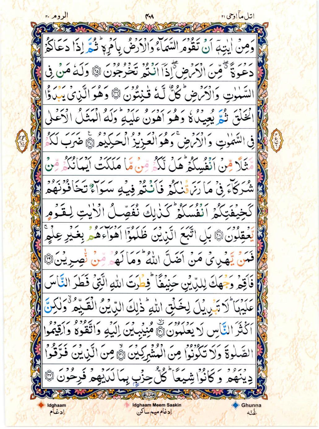 Read 15 Lines Color Coded Quran, Part / Chapter / Siparah 21 Page 408