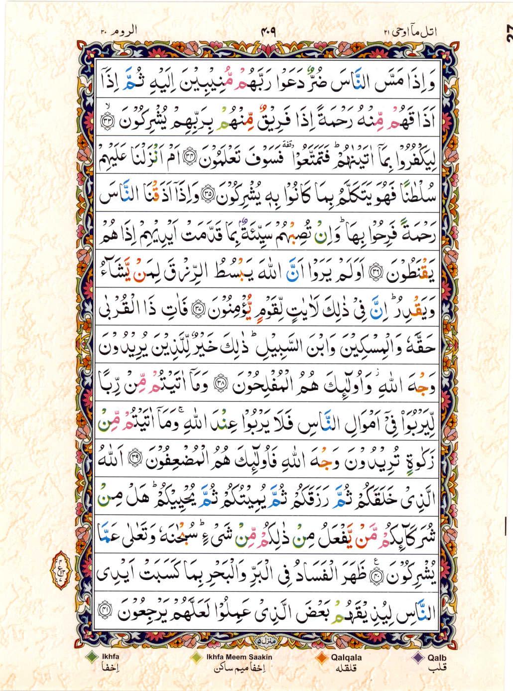 Read 15 Lines Color Coded Quran, Part / Chapter / Siparah 21 Page 409