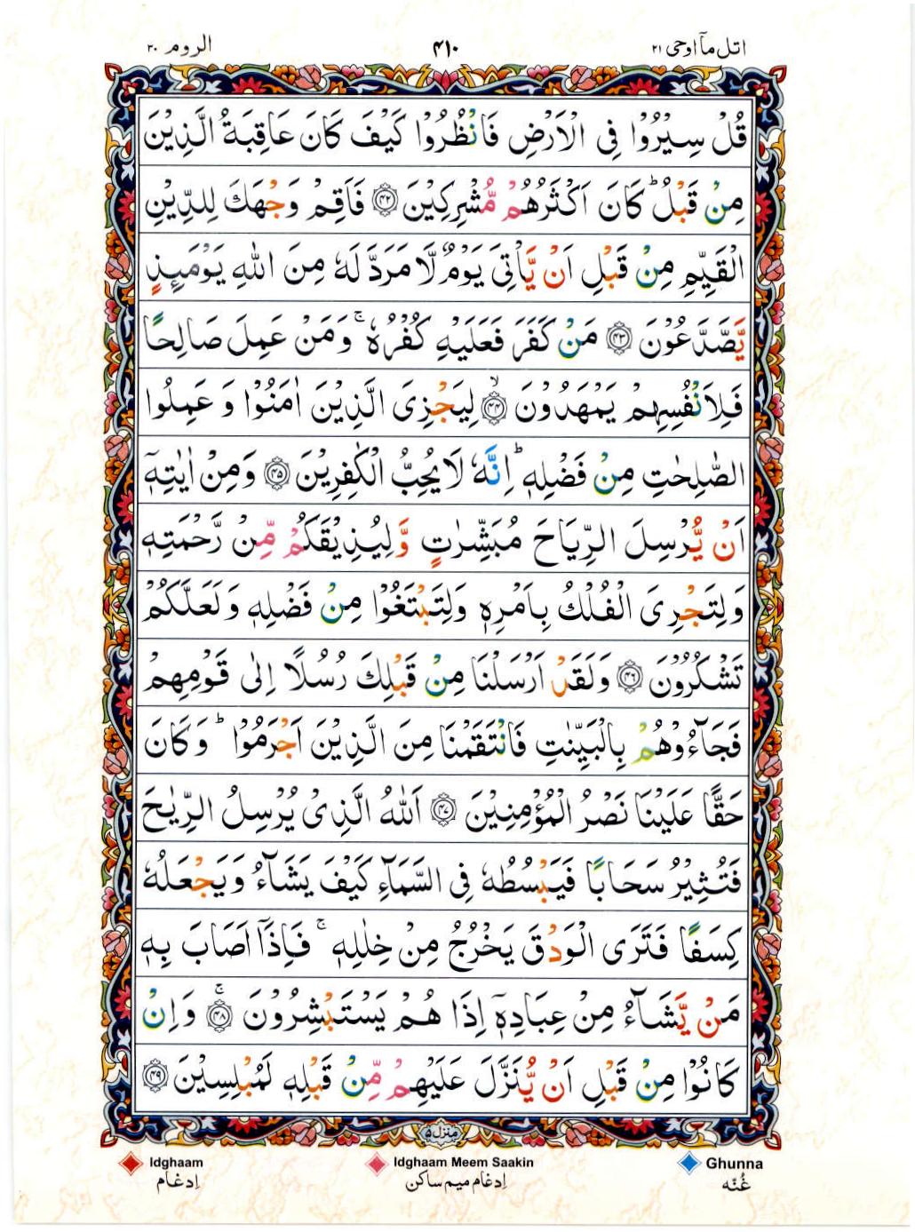 Read 15 Lines Color Coded Quran, Part / Chapter / Siparah 21 Page 410