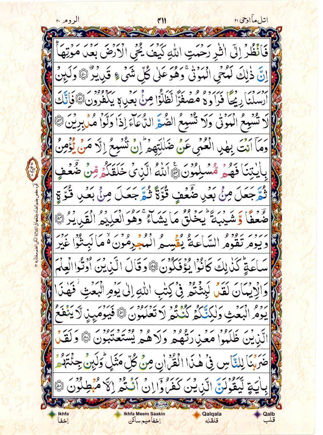 Read 15 Lines Color Coded Quran, Part / Chapter / Siparah 21 Page 411