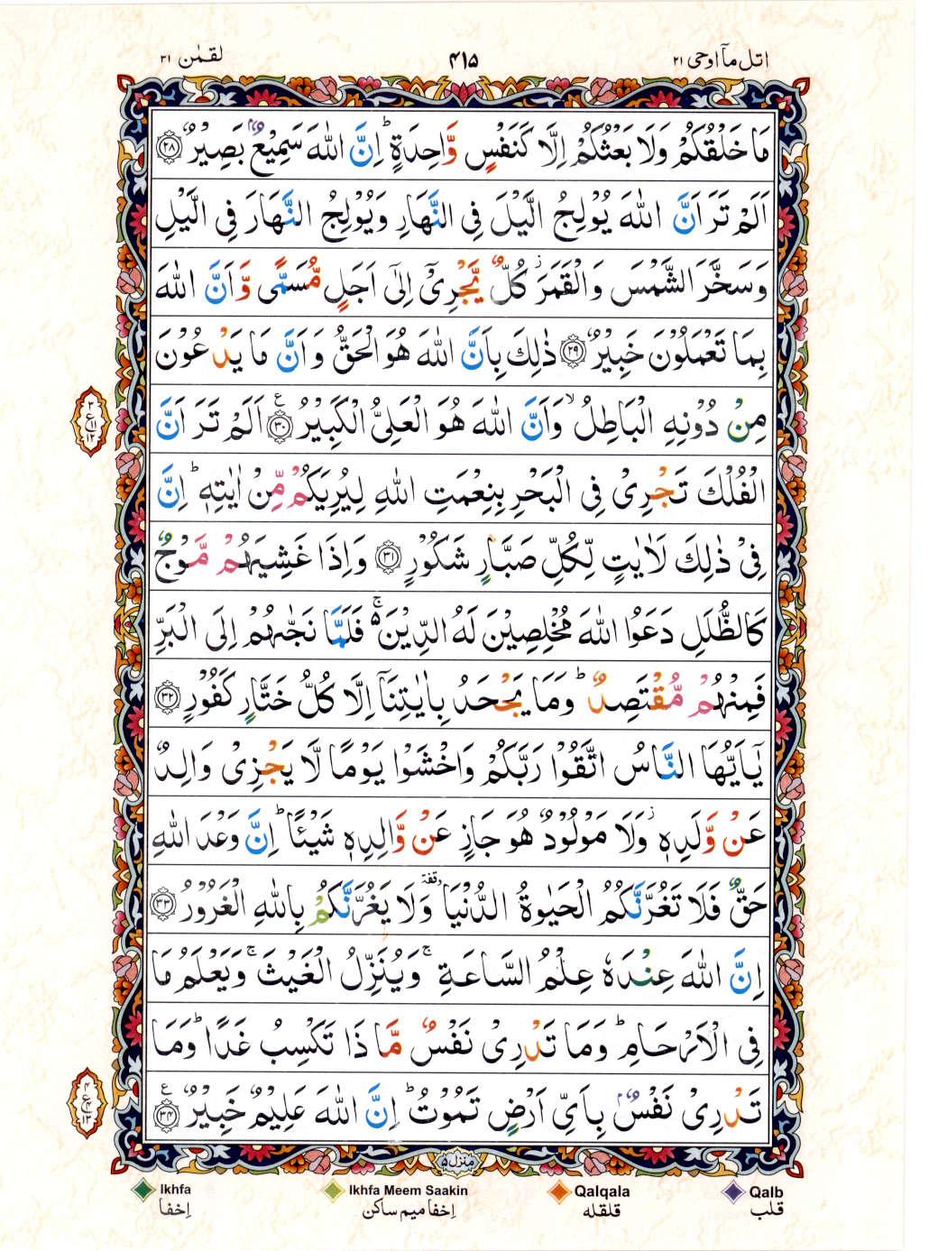 Read 15 Lines Color Coded Quran, Part / Chapter / Siparah 21 Page 415