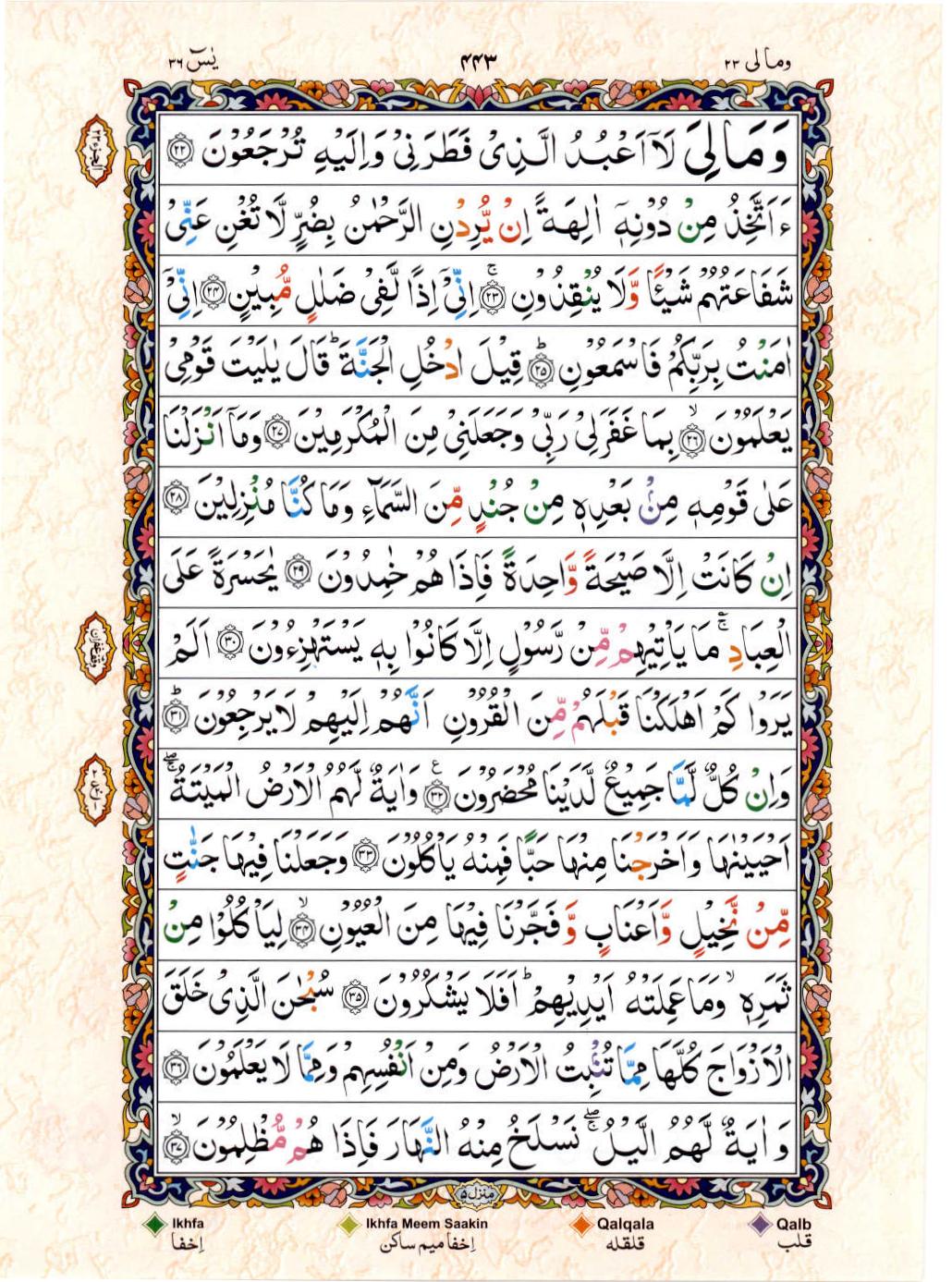 Read 15 Lines Color Coded Quran, Part / Chapter / Siparah 23 Page 443