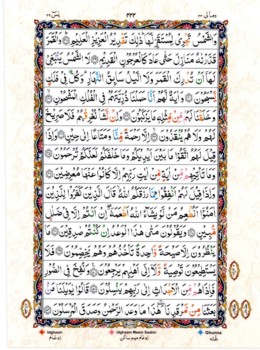 Read 15 Lines Color Coded Quran, Part / Chapter / Siparah 23 Page 444