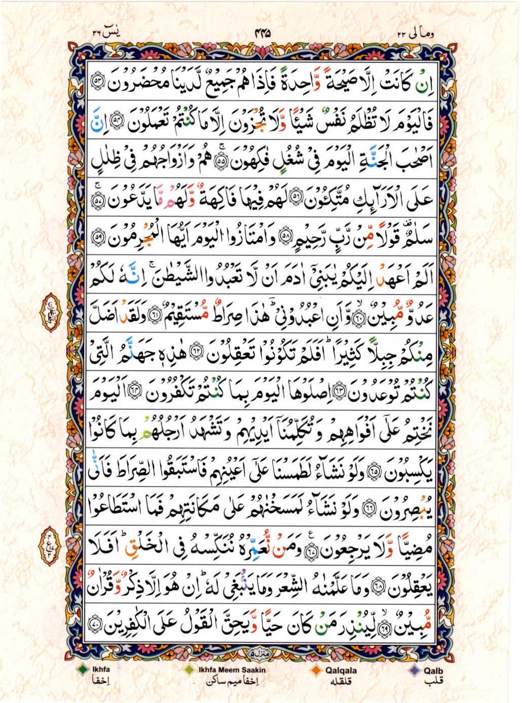 Read 15 Lines Color Coded Quran, Part / Chapter / Siparah 23 Page 445