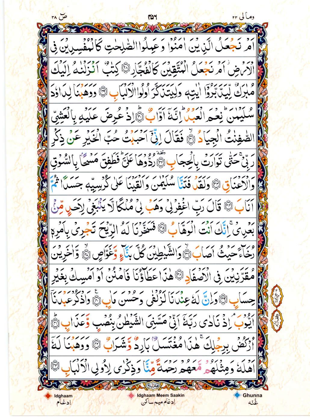 Read 15 Lines Color Coded Quran, Part / Chapter / Siparah 23 Page 456